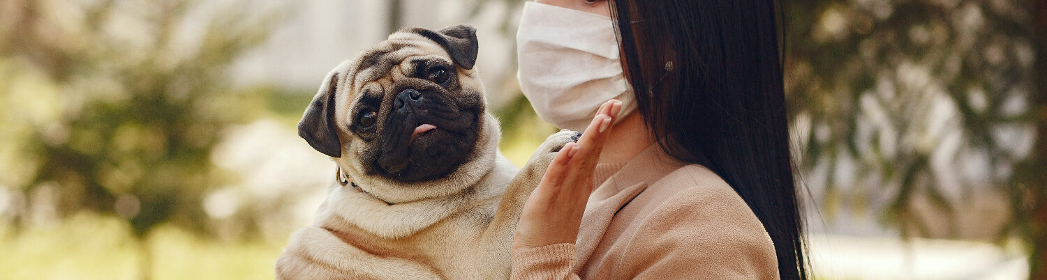 5 Pet-Themed Face Masks