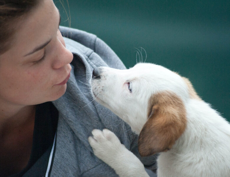 6 TED Talks That Will Make You a Better Pet Owner