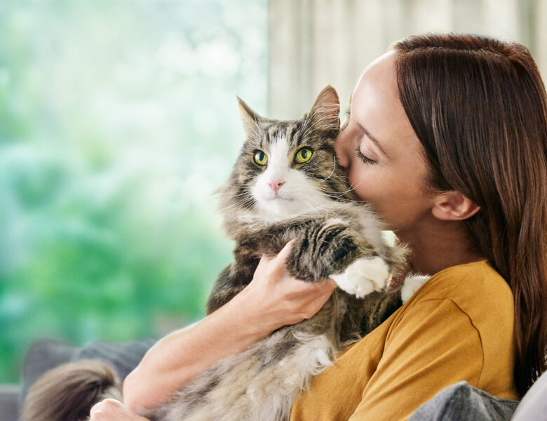 Most Allergy-Suffering Cat Owners Ignore Advice to Live Cat Free