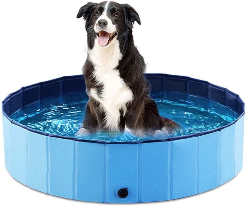 the range dog pool