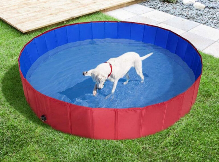 the range dog pool