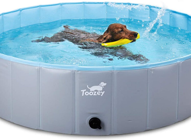 Best Dog Pools on Amazon