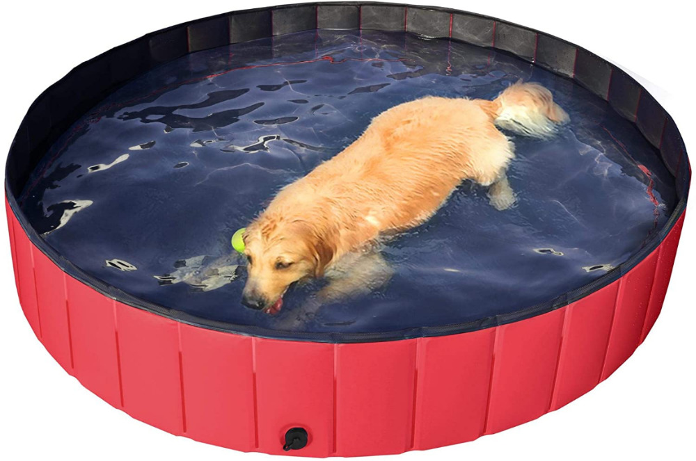 the range dog pool