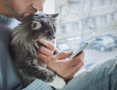 Are Cat Dads Less Attractive to Women?