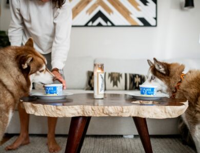 From Physics to Pet Food: Pet Plate Founder Chases Big Dreams