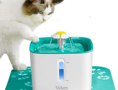 Best Water Fountains for Cats