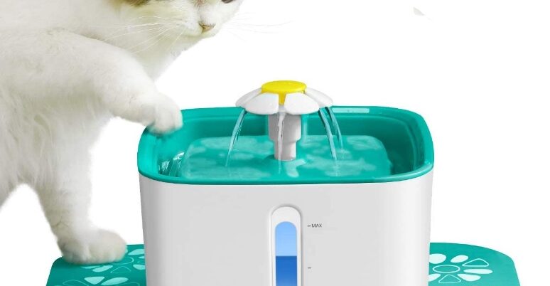 Best Water Fountains for Cats