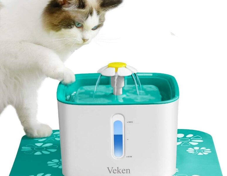 Best Water Fountains for Cats