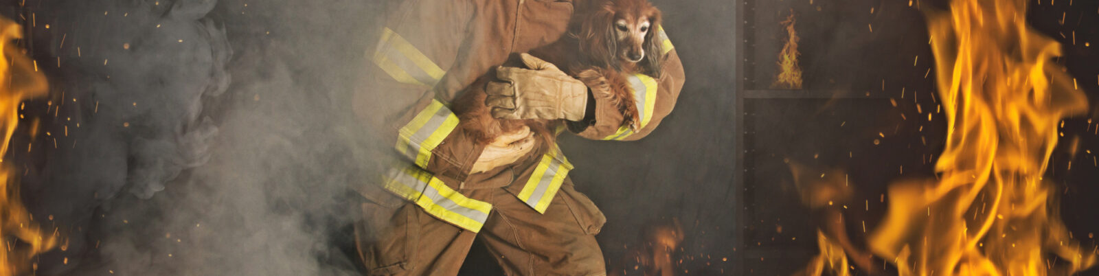 How To Protect Your Pets from House Fires