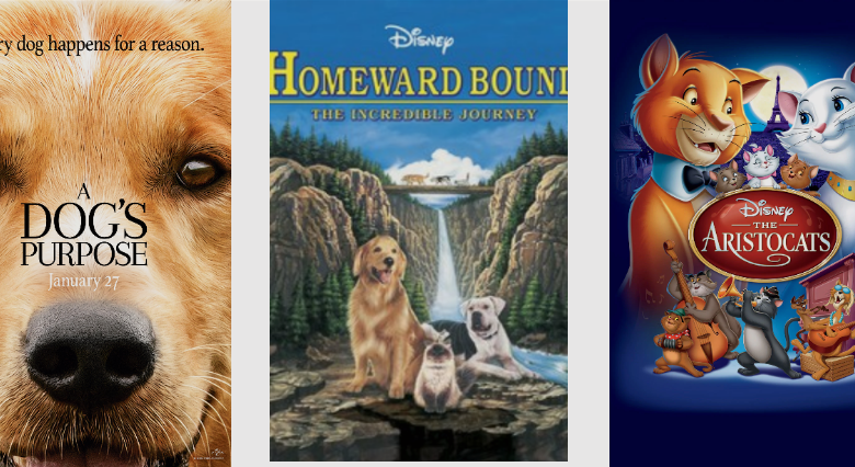 Best Movies with Pets