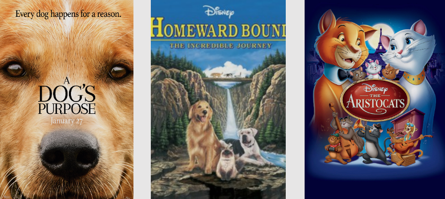 The Best Movies with Pets : Keeping It Pawsome