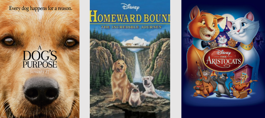 Best Movies with Pets