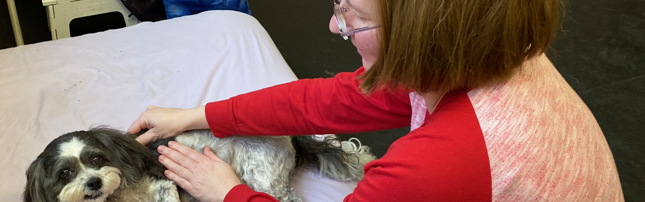 Your Pet Doesn’t Have to Be in Pain: An Animal Massage Practitioner Takes a Stand