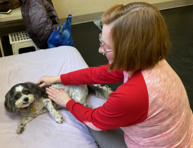 Your Pet Doesn’t Have to Be in Pain: An Animal Massage Practitioner Takes a Stand