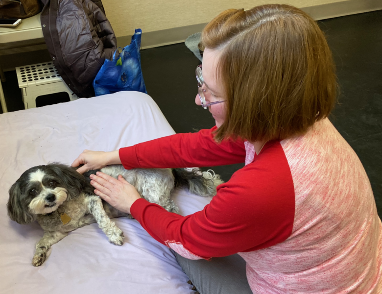 Your Pet Doesn’t Have to Be in Pain: An Animal Massage Practitioner Takes a Stand