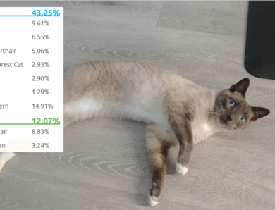 The Basepaws DNA Test: What You Need to Know – An In-Depth Review