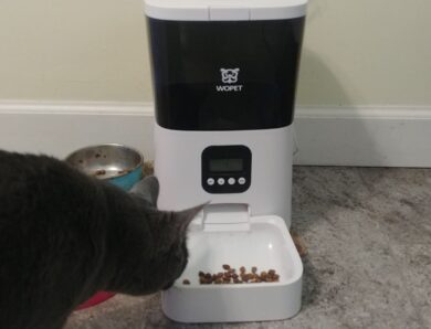 Never Miss Another Feeding: WOpet Boost Automatic Feeder Review